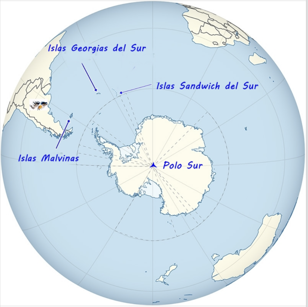  LA CLÁUSULA MALVINAS EN LA CONSTITUCIÓN ARGENTINA                    .
